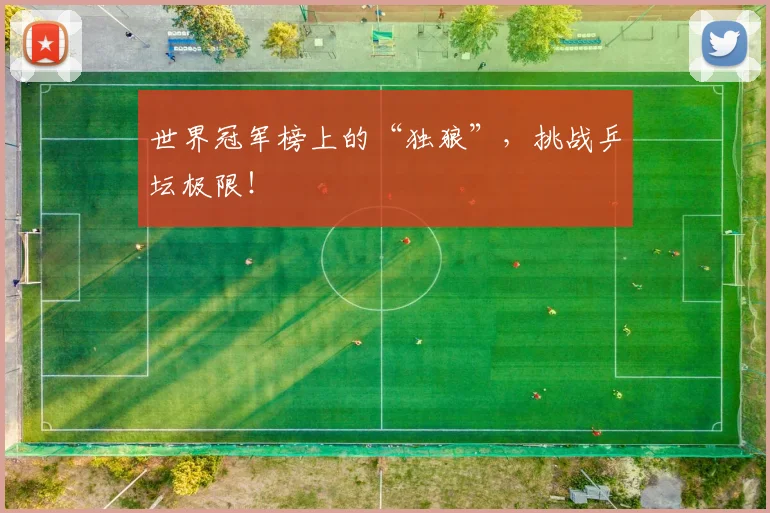 世界冠军榜上的“独狼”，挑战乒坛极限！