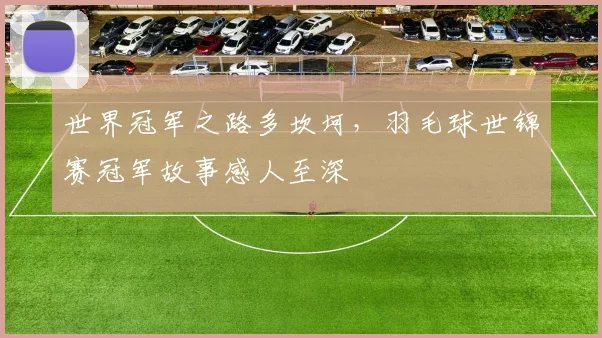 世界冠军之路多坎坷，羽毛球世锦赛冠军故事感人至深