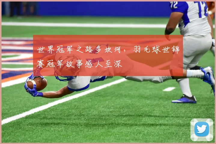 世界冠军之路多坎坷,羽毛球世锦赛冠军故事感人至深